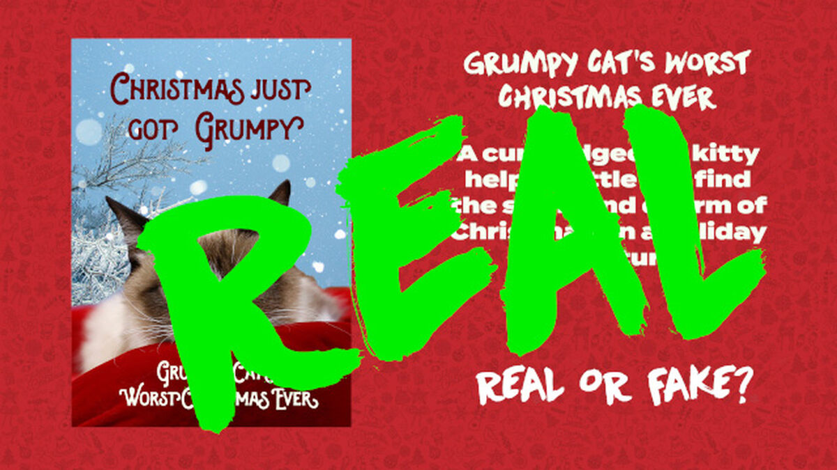 Dumb Christmas Movies image number null